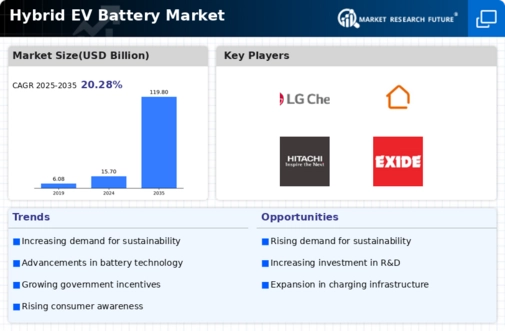 Hybrid EV Battery Market Infographic