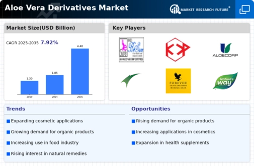 Aloe Vera Derivatives Market Infographic