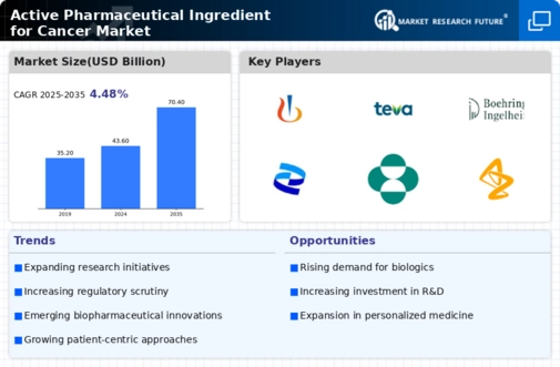 Active Pharmaceutical Ingredient for Cancer Market Infographic