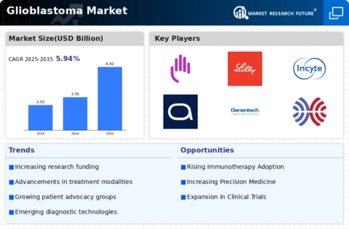 Glioblastoma Market Infographic