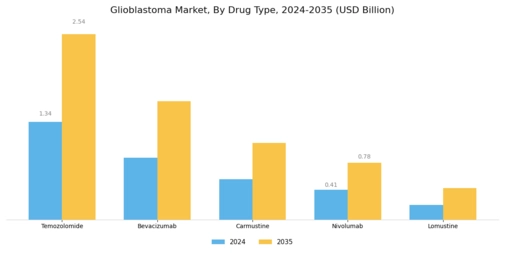 Glioblastoma Market Segment Image 1