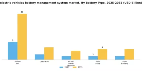 2026 BMS for Electric Vehicles Market Segment Image 1