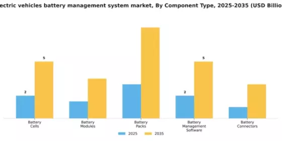 2026 BMS for Electric Vehicles Market Segment Image 2