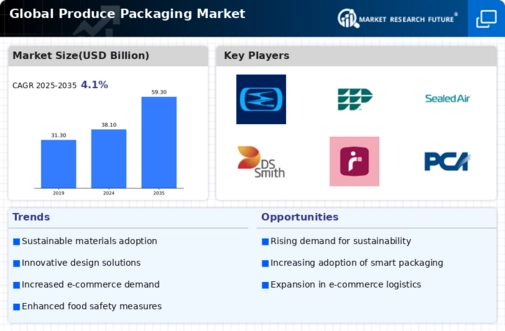 Produce Packaging Market Infographic