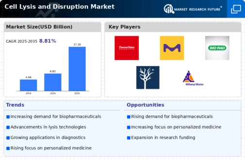 Cell Lysis Disruption Market Infographic