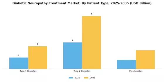 Diabetic Neuropathy Treatment Market Segment Image 1