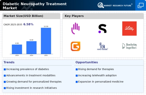 Diabetic Neuropathy Treatment Market Infographic