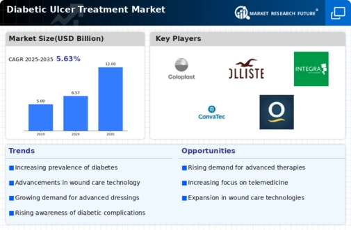 Diabetic Ulcer Treatment Market Infographic