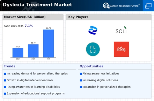 Dyslexia Treatment Market Infographic