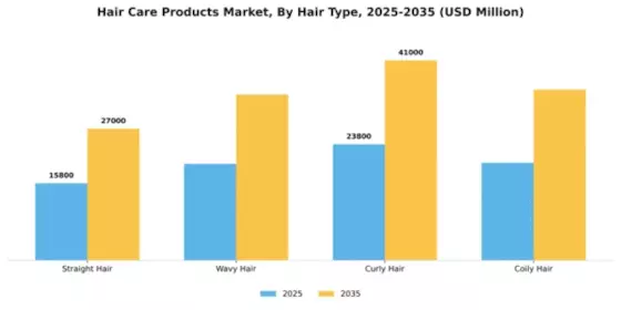 Hair Care Products Market Segment Image 1