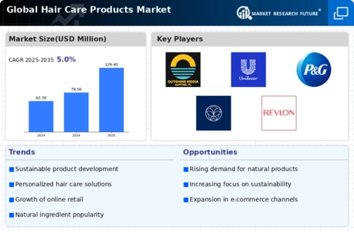 Hair Care Products Market Infographic