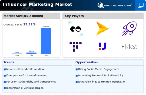 Influencer Marketing Market Infographic