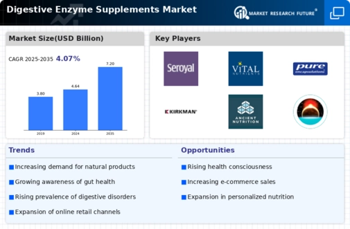 Digestive Enzyme Supplements Market Infographic