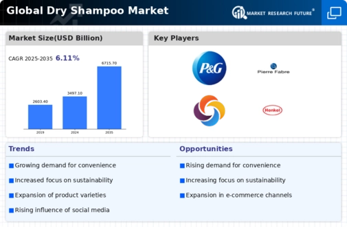 Dry Shampoo Market Infographic