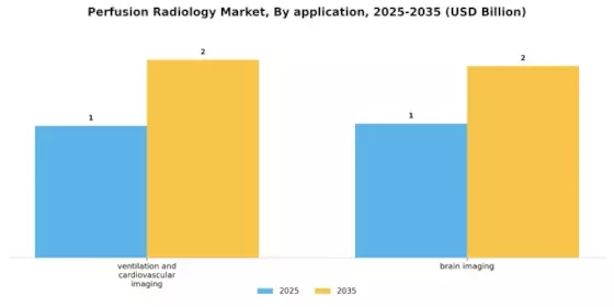 Perfusion Radiology Market Segment Image 0