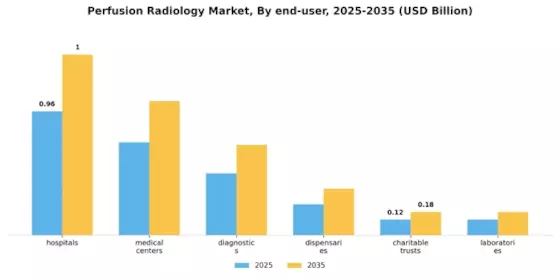 Perfusion Radiology Market Segment Image 1