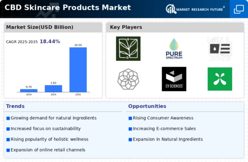 CBD Skincare Products Market Infographic