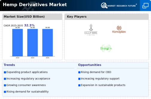 Hemp Derivatives Market Infographic