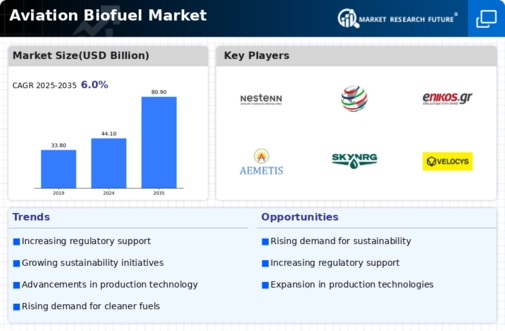 Aviation Biofuel Market Infographic