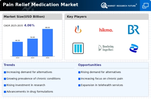 Pain Relief Medication Market Infographic