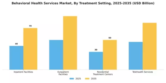 Behavioral Health Services Market Segment Image 3