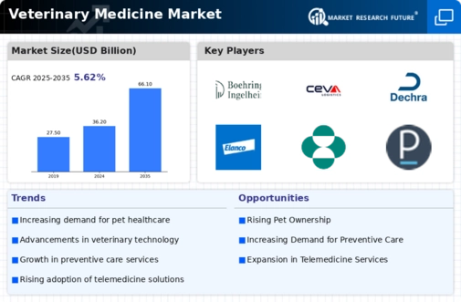 Veterinary Medicine Market Infographic