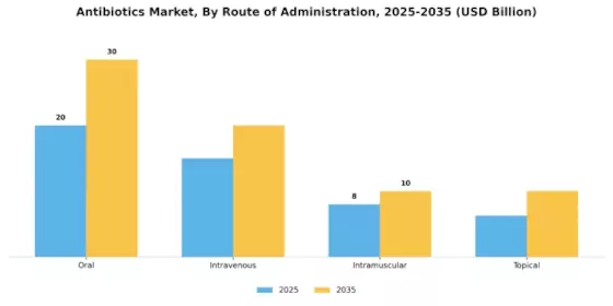 Antibiotics Market Segment Image 2