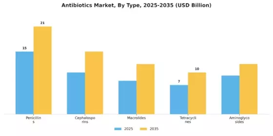 Antibiotics Market Segment Image 3