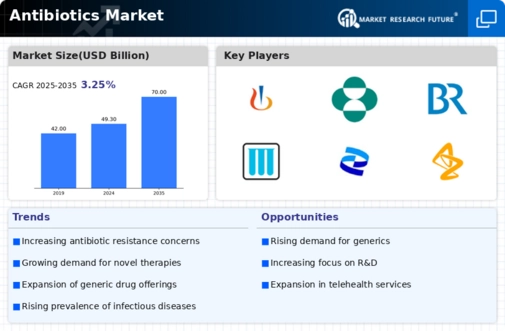 Antibiotics Market Infographic