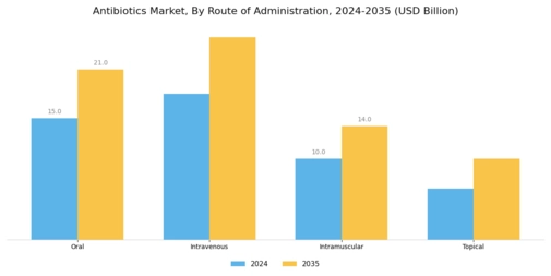 Antibiotics Market Segment Image 1