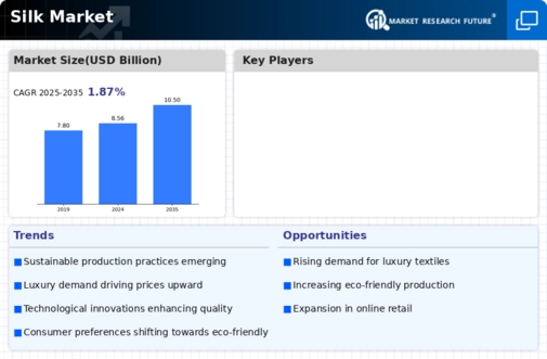 Silk Market Infographic