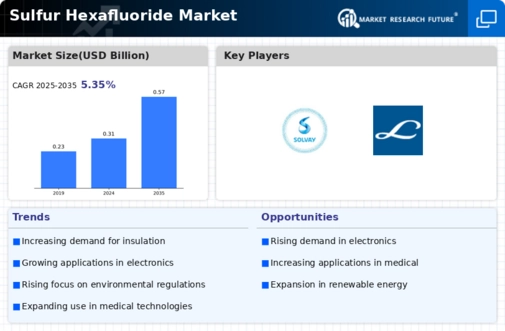 Sulfur Hexafluoride Market Infographic