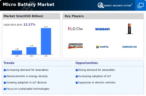Micro Battery Market Infographic