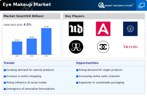 Eye Makeup Market Infographic