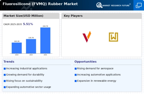 Fluorosilicone Rubber Market Infographic