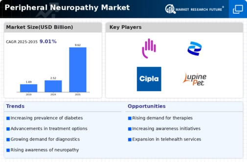 Peripheral Neuropathy Market Infographic