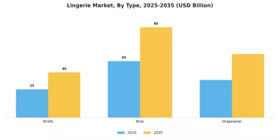 Lingerie Market Segment Image 2