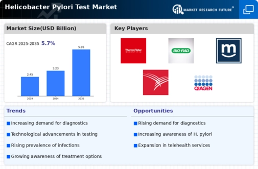 Helicobacter Pylori Test Market Infographic
