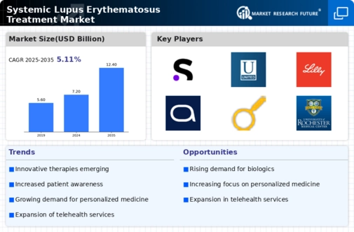 Systemic Lupus Erythematosus Treatment Market Infographic