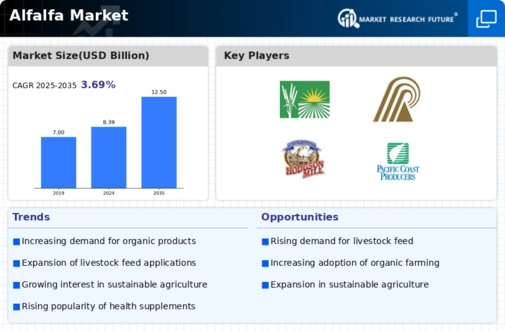 Alfalfa Market Infographic