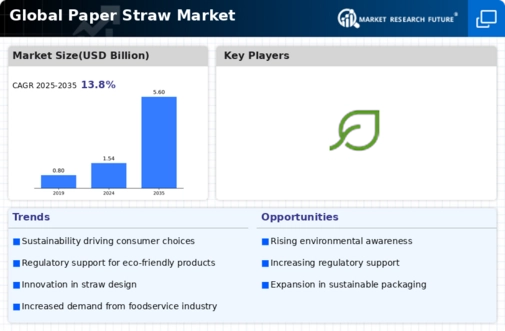 Paper Straw Market Infographic