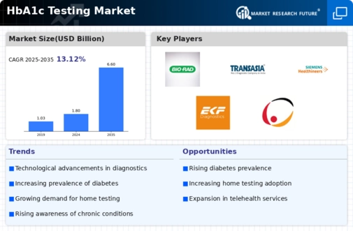 HbA1c Testing Market Infographic