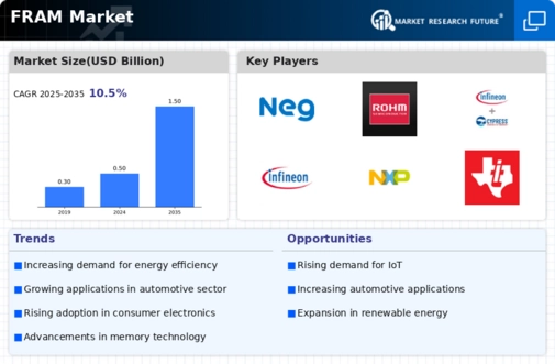 FRAM Market Infographic