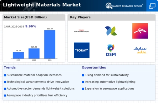 Lightweight Materials Market Infographic