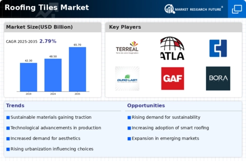 Roofing Tiles Market Infographic