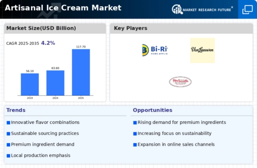 Artisanal Ice Cream Market Infographic