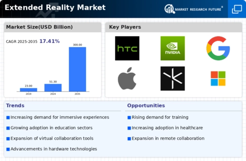 Extended Reality Market Infographic