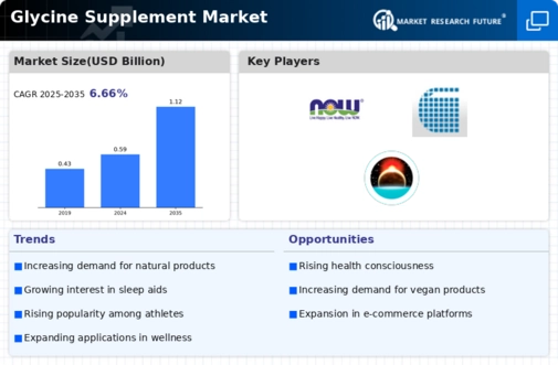 Glycine Supplement Market Infographic
