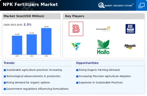 NPK Fertilizers Market Infographic