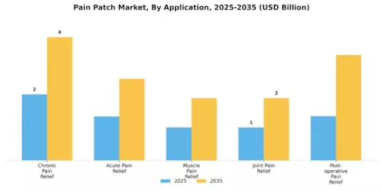 Pain Patch Market Segment Image 0